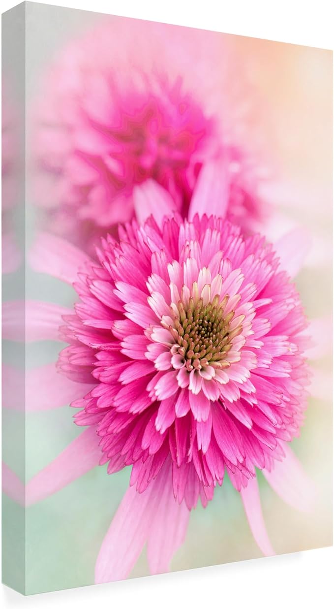 Trademark Fine Art Canvas Wall Art - Jacky Parker 'Summer Spirit' Wall Art for Living Room, Bedroom, or Office Décor 16 x 24 Inches